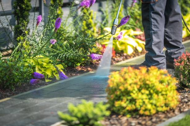 Best Patio and Deck Pressure Washing  in Sunny Isles Beach, FL